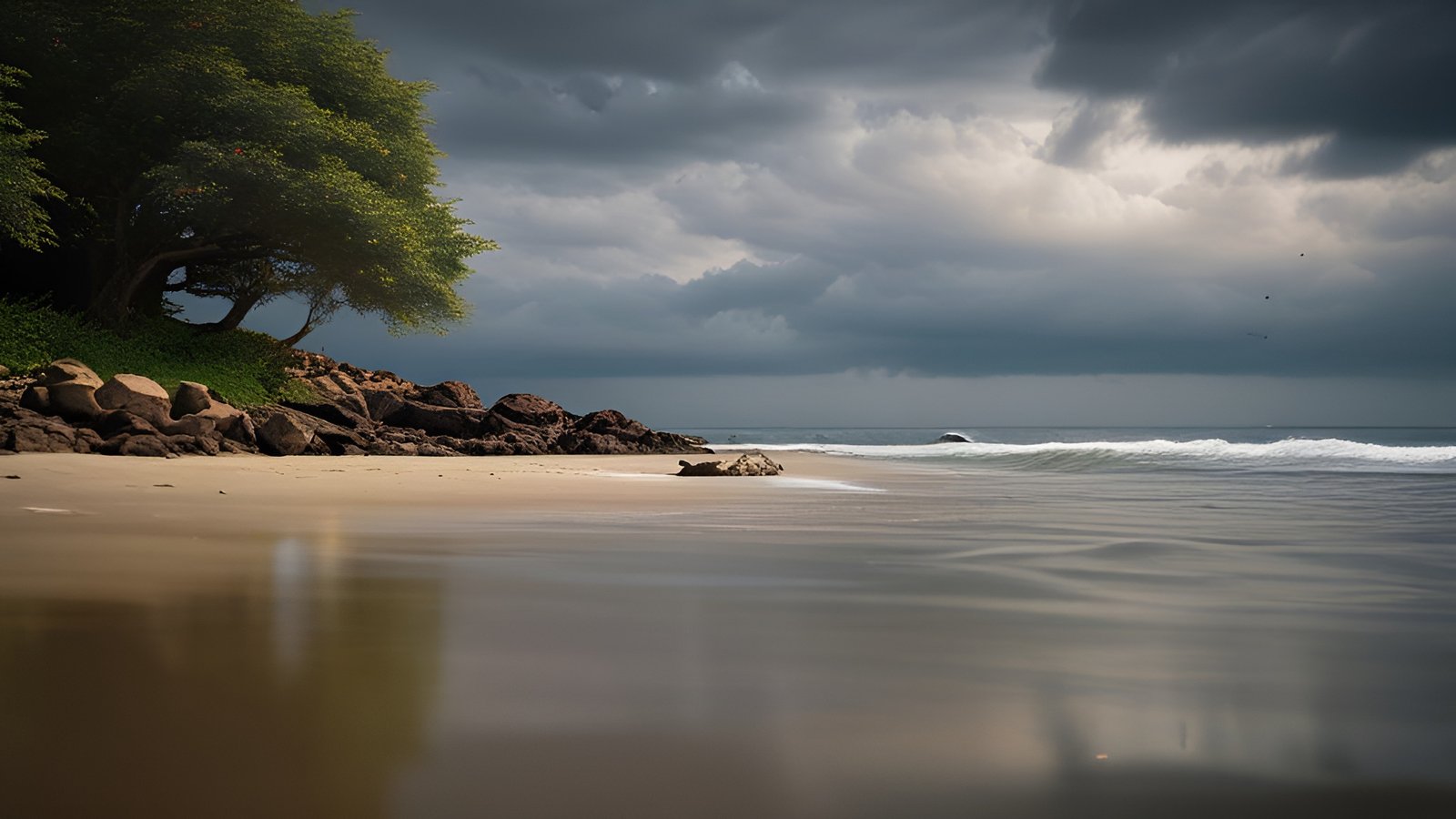 A nature photograph of a sandy beach with a green tree, rocks, and storm clouds